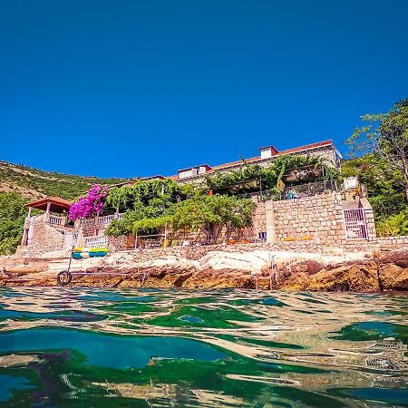 Sea Of Eden Lägenhet Dubrovnik Exteriör bild