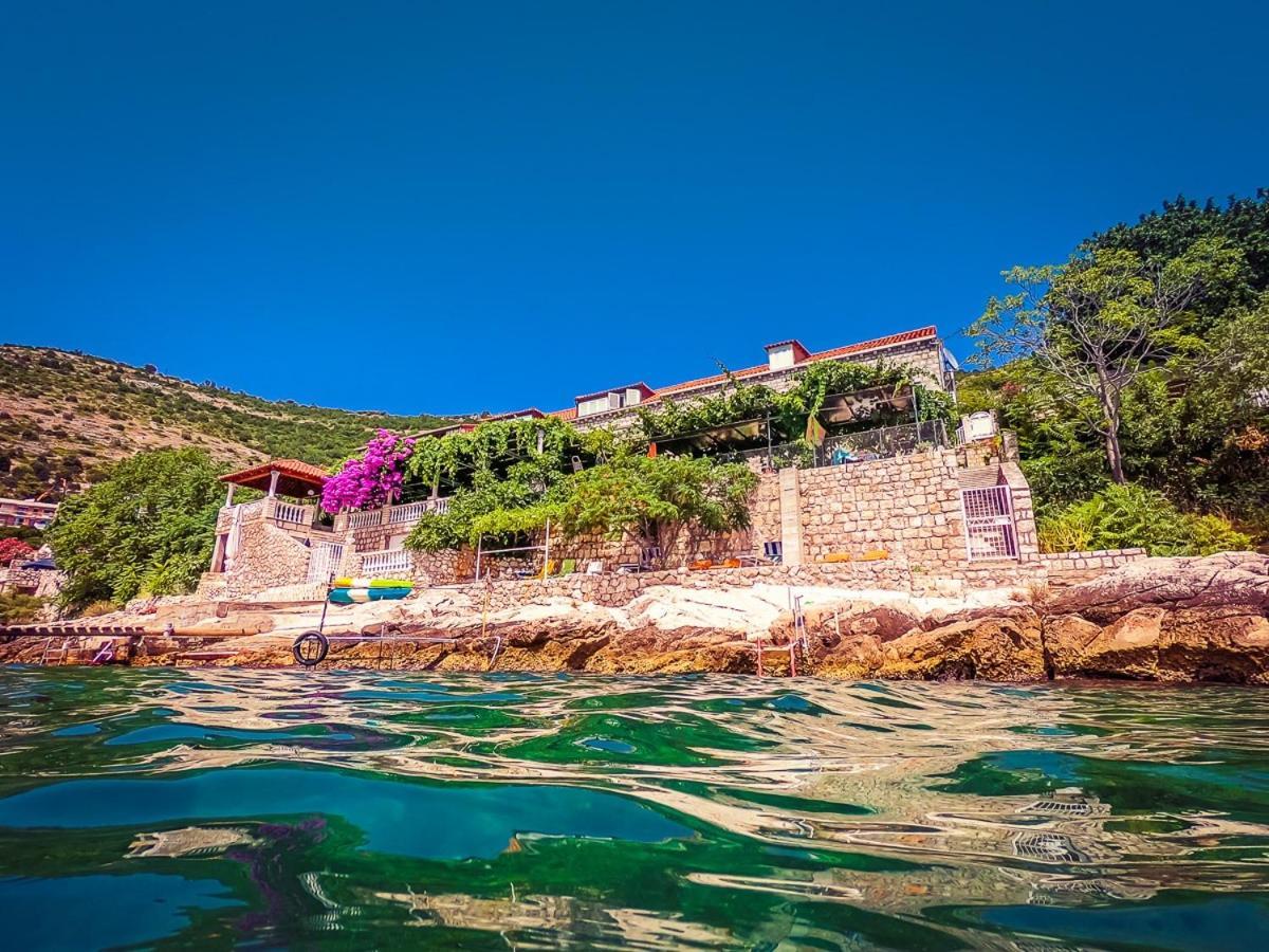 Sea Of Eden Lägenhet Dubrovnik Exteriör bild