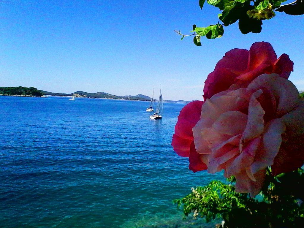 Sea Of Eden Lägenhet Dubrovnik Exteriör bild
